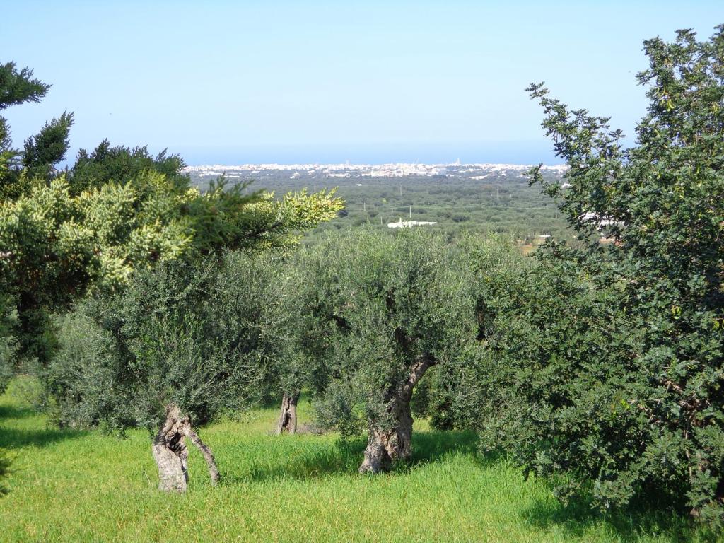 B&B Alla Panoramica Monopoli Exterior foto